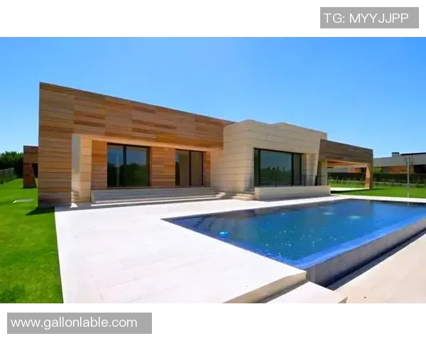 足球明星豪宅前后对比揭秘奢华生活与奋斗起点的鲜明对照 足球明星豪宅前后对比揭秘奢华生活与奋斗起点的鲜明对照