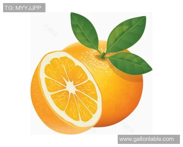 足球明星素材图免抠资源分享助你轻松制作精彩海报和宣传图 足球明星素材图免抠资源分享助你轻松制作精彩海报和宣传图